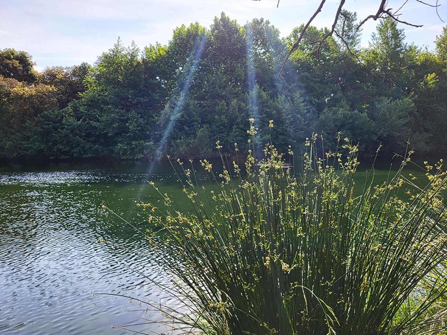 Camping Le Val De Cesse Mirepeisset Экстерьер фото